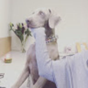 Meet your Posher, Colleen constance